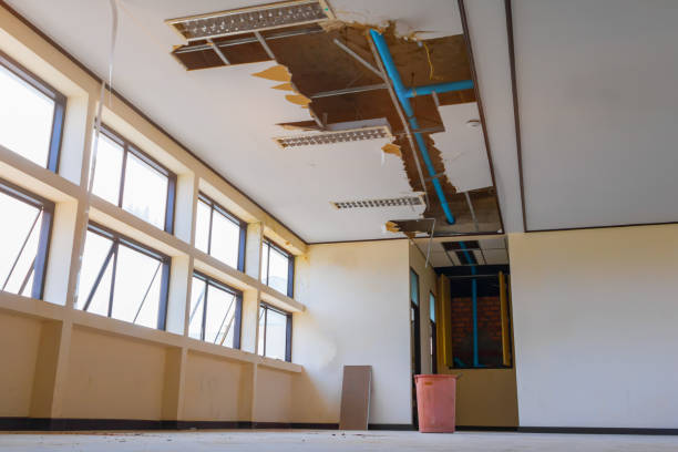 Best Sewage cleanup and water damage restoration  in Twin Rivers, NJ