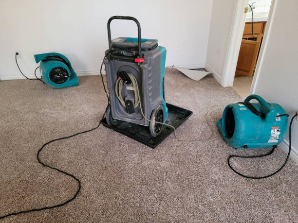 Best Water damage restoration services  in Twin Rivers, NJ