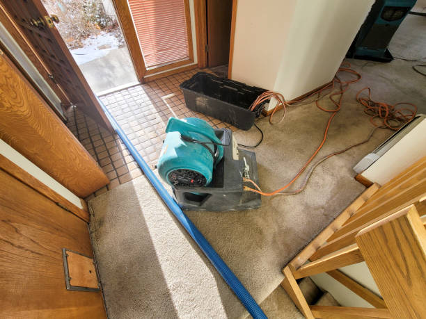 Best Professional water damage repair  in Twin Rivers, NJ