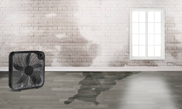 Best Professional water damage repair  in Twin Rivers, NJ