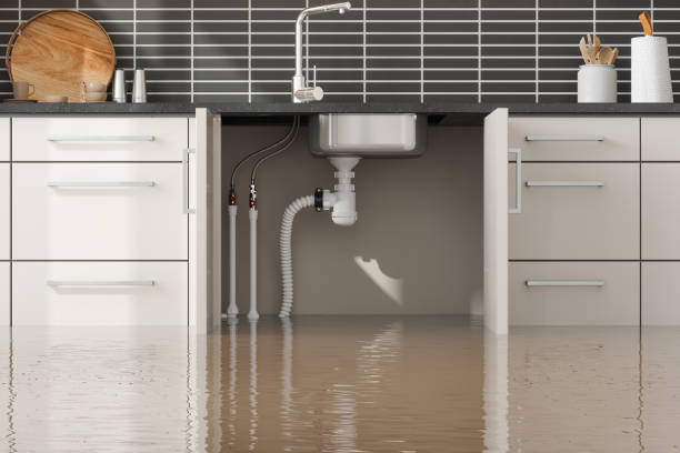 Best Basement water damage restoration  in Twin Rivers, NJ