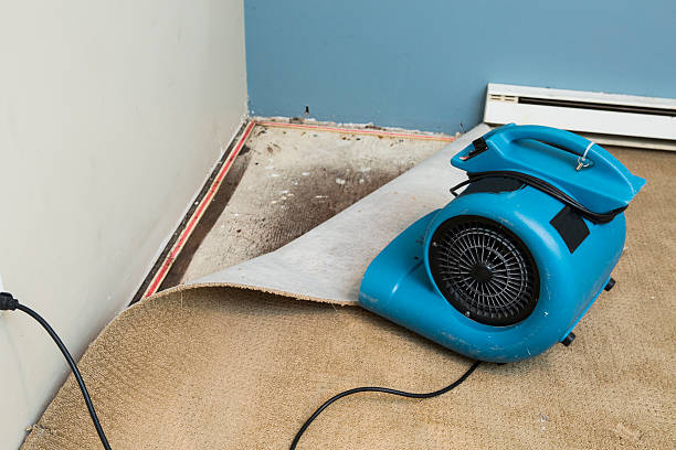 Best Carpet water damage restoration  in Twin Rivers, NJ